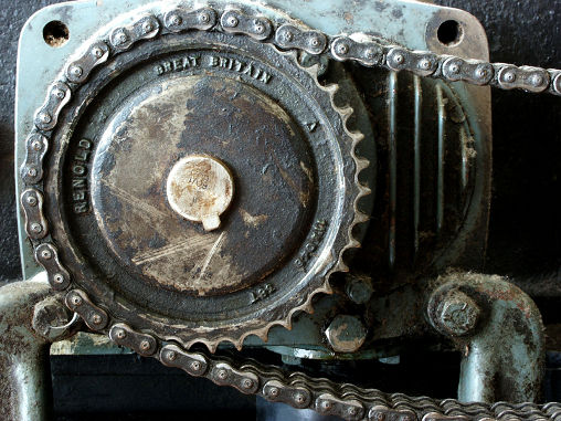 14_Wolfgang_Gorzitze