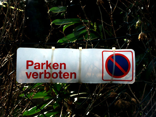 14_Wolfgang_Gorzitze