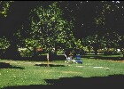 004 Herzogenriedpark MA