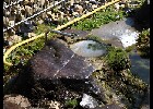 033 Herzogenriedpark MA