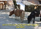 038 Herzogenriedpark MA