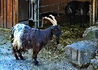 044 Herzogenriedpark MA