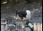 046 Herzogenriedpark MA
