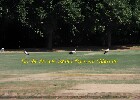 051 Herzogenriedpark MA