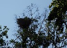 054 Herzogenriedpark MA