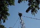 057 Herzogenriedpark MA