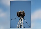 058 Herzogenriedpark MA