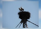 059 Herzogenriedpark MA