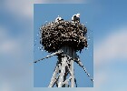 060 Herzogenriedpark MA