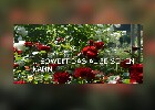 075 Herzogenriedpark MA