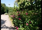 080 Herzogenriedpark MA