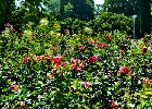 083 Herzogenriedpark MA