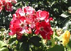 094 Herzogenriedpark MA