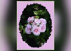 104 Herzogenriedpark MA