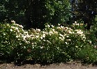 108 Herzogenriedpark MA