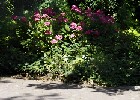 111 Herzogenriedpark MA