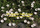 112 Herzogenriedpark MA