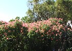 123 Herzogenriedpark MA