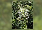 128 Herzogenriedpark MA