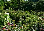 135 Herzogenriedpark MA