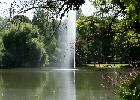 159 Herzogenriedpark MA