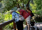 164 Herzogenriedpark MA