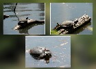 167 Herzogenriedpark MA
