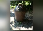 170 Herzogenriedpark MA