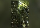 171 Herzogenriedpark MA