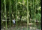 172 Herzogenriedpark MA