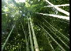 174 Herzogenriedpark MA