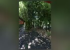 176 Herzogenriedpark MA