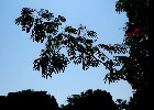 181 Herzogenriedpark MA