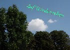 185 Herzogenriedpark MA